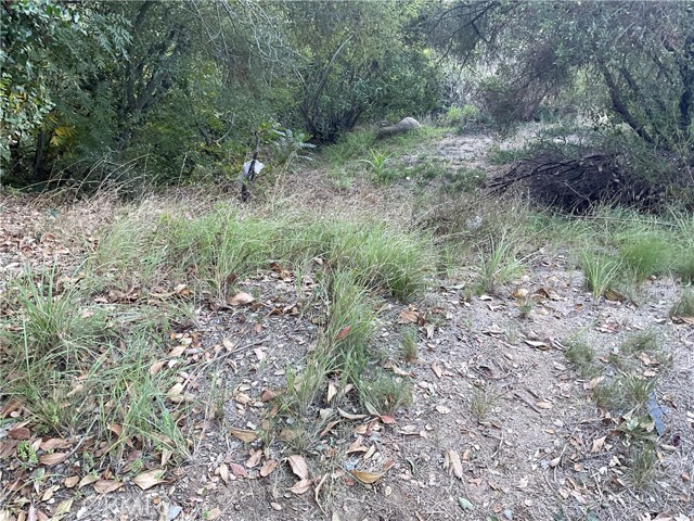 2451 Nalin Drive, Los Angeles, California 90077, ,Land,For Sale,2451 Nalin Drive,CRMB23135630