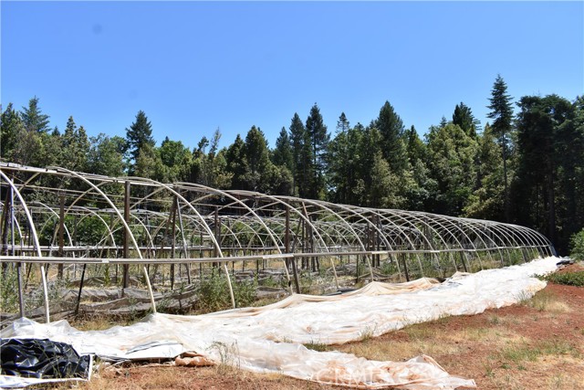 Detail Gallery Image 40 of 43 For 11605 La Porte Rd, Clipper Mills,  CA 95925 - 3 Beds | 2/1 Baths