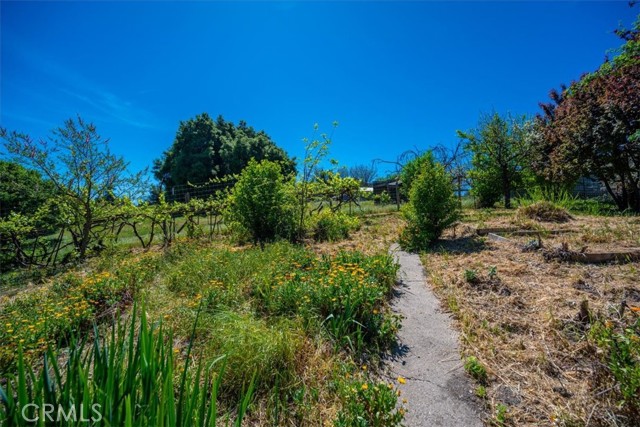 Detail Gallery Image 42 of 54 For 3956 Maricopa, Atascadero,  CA 93422 - 3 Beds | 3 Baths