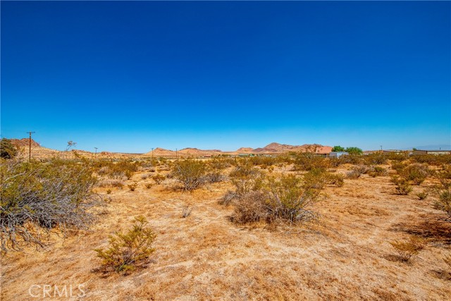  Land for Sale in Rosamond, California