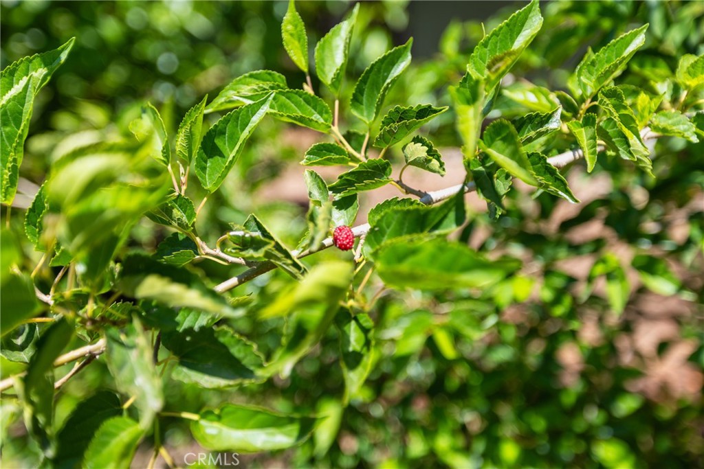 https://media.crmls.org/medias/9a49fc45-c958-4c26-9512-31d4634d7537.jpg?preset=X-Large