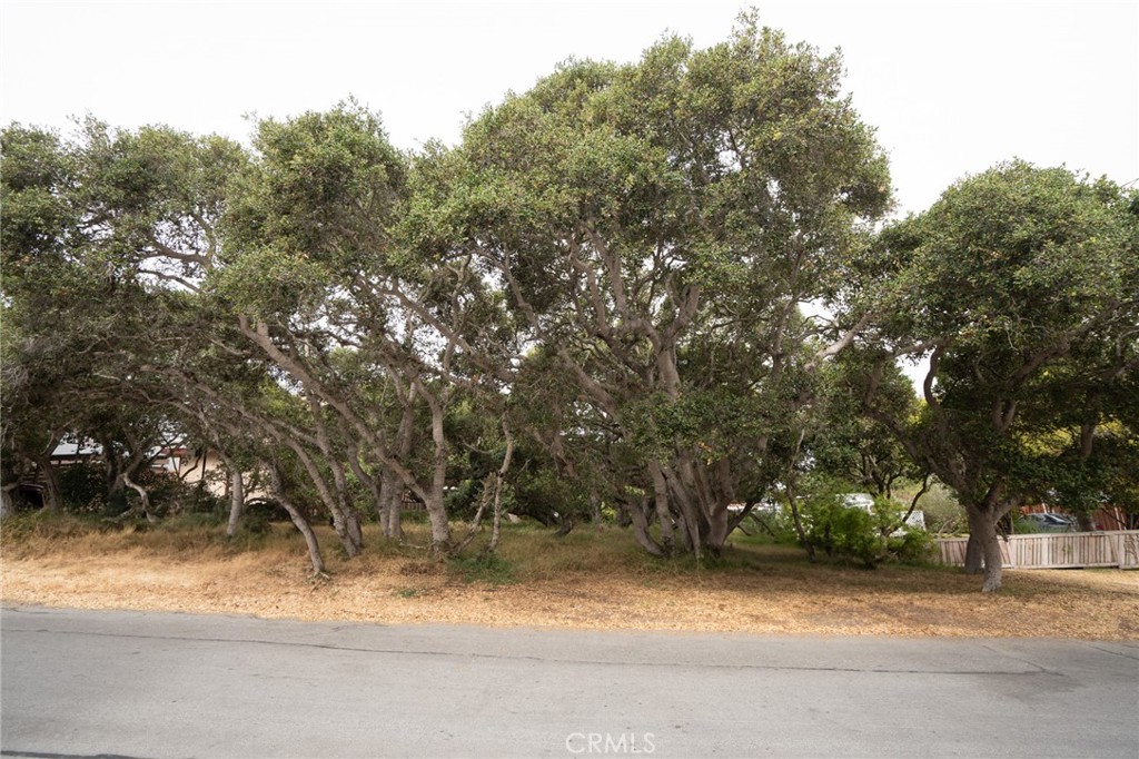 MLS #SC25145989 image #1