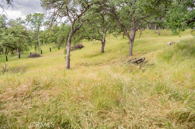 Detail Gallery Image 32 of 36 For 19911 State Highway 36, Red Bluff,  CA 96080 - 3 Beds | 2 Baths