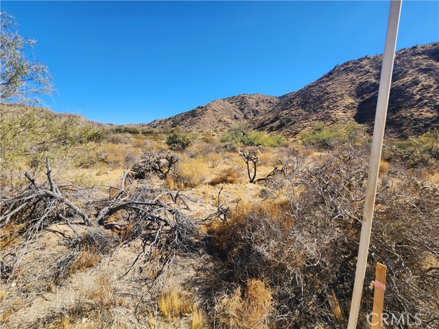 Detail Gallery Image 9 of 18 For 29 Palms Hwy, Morongo Valley,  CA 92256 - – Beds | – Baths