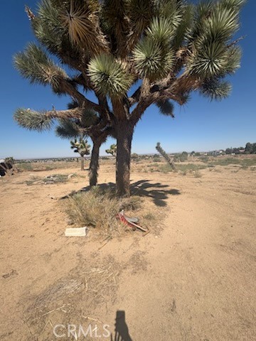 MLS #SR25239132 image #5