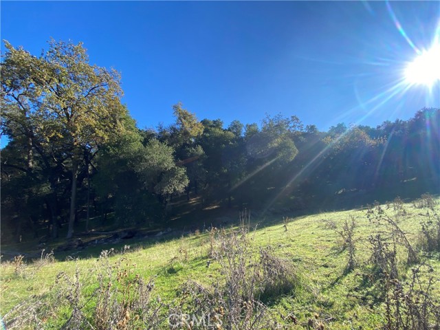 0 Upper Lopez Canyon Rd., Arroyo Grande, California 93420, ,Land,For Sale,0 Upper Lopez Canyon Rd.,CRPI21262059