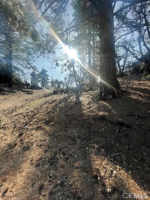 Detail Gallery Image 4 of 8 For 0 Forrest Dr, Running Springs,  CA 92382 - – Beds | – Baths