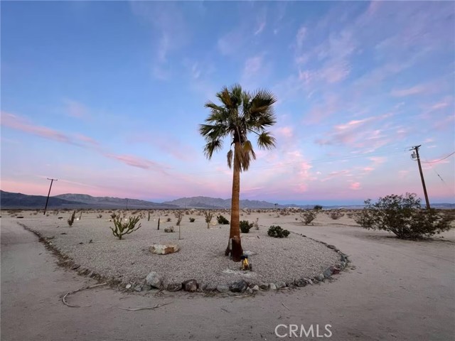 Detail Gallery Image 22 of 22 For 83683 Amboy Rd, Twentynine Palms,  CA 92277 - 2 Beds | 1 Baths