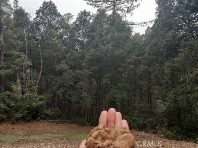 Detail Gallery Image 39 of 58 For 38160 Ocean Ridge Dr, Gualala,  CA 95445 - – Beds | – Baths