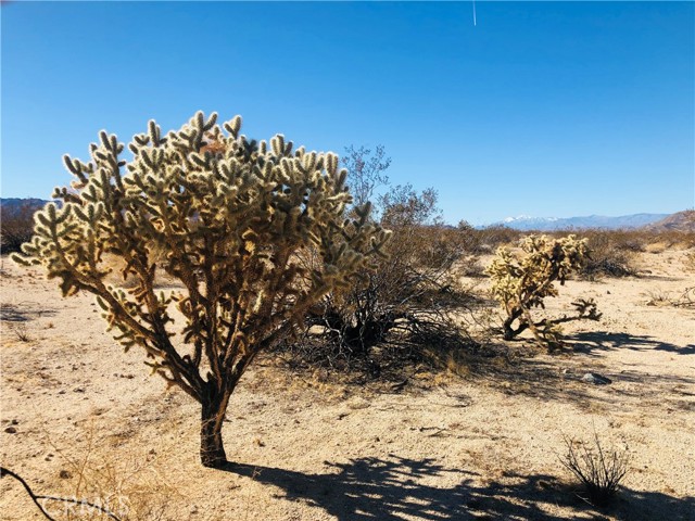 Detail Gallery Image 2 of 9 For 5 Appian Way, Twentynine Palms,  CA 92277 - – Beds | – Baths