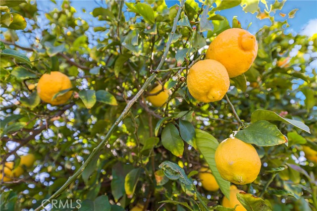 Detail Gallery Image 31 of 35 For 750 N Del Norte Avenue, Ontario,  CA 91764 - 3 Beds | 2 Baths