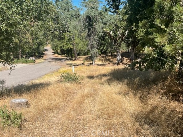 Detail Gallery Image 1 of 17 For 0 Lot 2 Peckinpah Acres Dr, North Fork,  CA 93643 - – Beds | – Baths