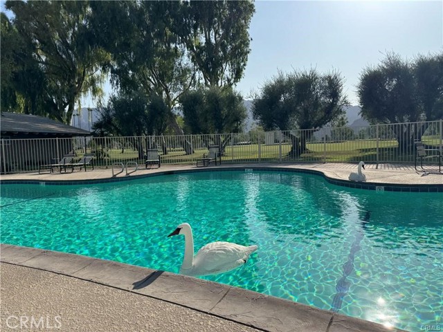 Detail Gallery Image 39 of 56 For 49171 Washington St, La Quinta,  CA 92253 - 3 Beds | 2 Baths