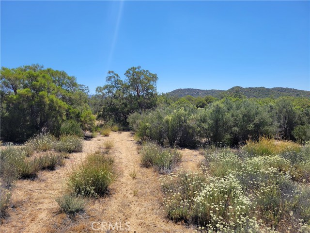 Detail Gallery Image 3 of 8 For 0 Terwilliger, Anza,  CA 92539 - – Beds | – Baths