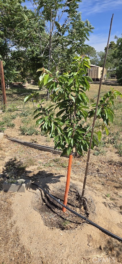 Detail Gallery Image 62 of 74 For 57745 Bailey, Anza,  CA 92539 - 3 Beds | 2 Baths