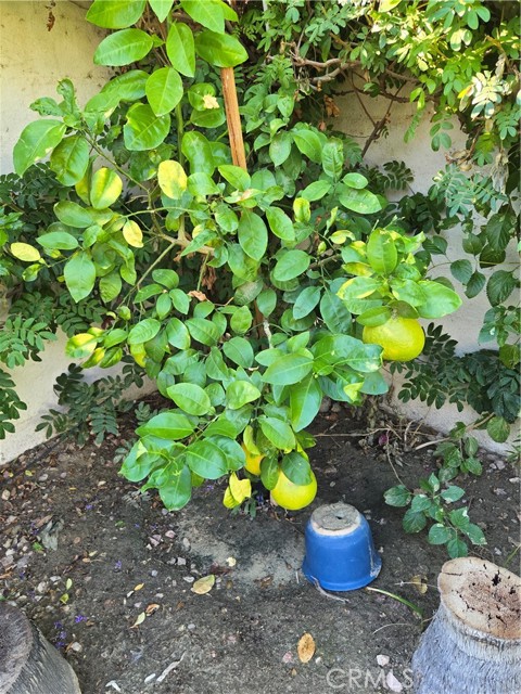 Detail Gallery Image 32 of 35 For 40125 Calle Las Positas, Indio,  CA 92203 - 2 Beds | 2 Baths