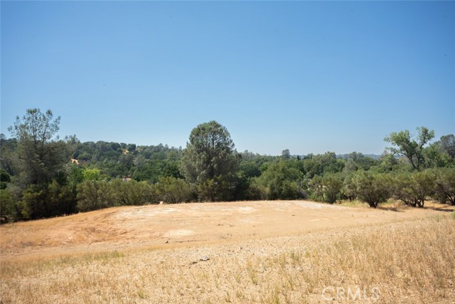 56 Canal Drive, Oroville, California 95966, ,Land,For Sale,56 Canal Drive,CROR23137441