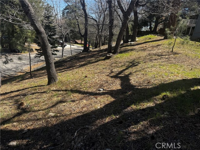 Detail Gallery Image 10 of 15 For 0 Oriole Rd, Wrightwood,  CA 92397 - – Beds | – Baths