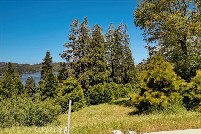 Detail Gallery Image 11 of 12 For 153 Mill Pond Rd, Lake Arrowhead,  CA 92352 - – Beds | – Baths