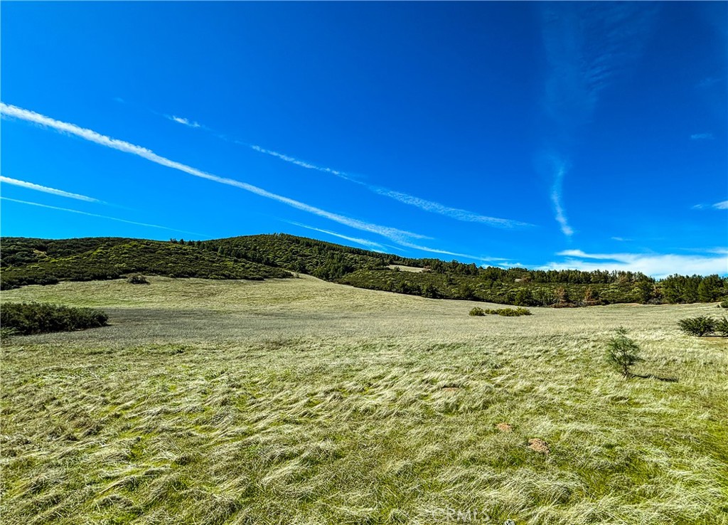 640 Robinson Canyon