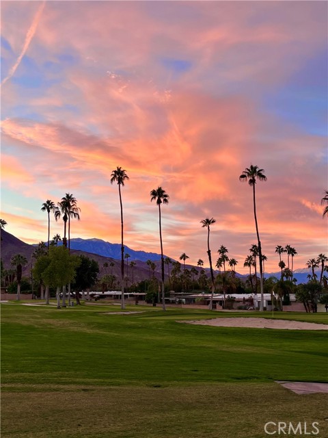 46125 Burroweed Ln., Palm Desert CA: https://media.crmls.org/medias/9aa22f5c-0977-4abe-97a1-52fd7365b3ba.jpg