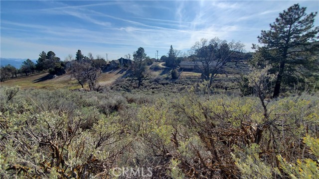 25041 Jacaranda Drive, Tehachapi, California 93561, ,Land,For Sale,25041 Jacaranda Drive,CRSR23210317