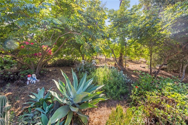 Detail Gallery Image 2 of 35 For 3550 Canonita Dr, Fallbrook,  CA 92028 - 4 Beds | 2/1 Baths