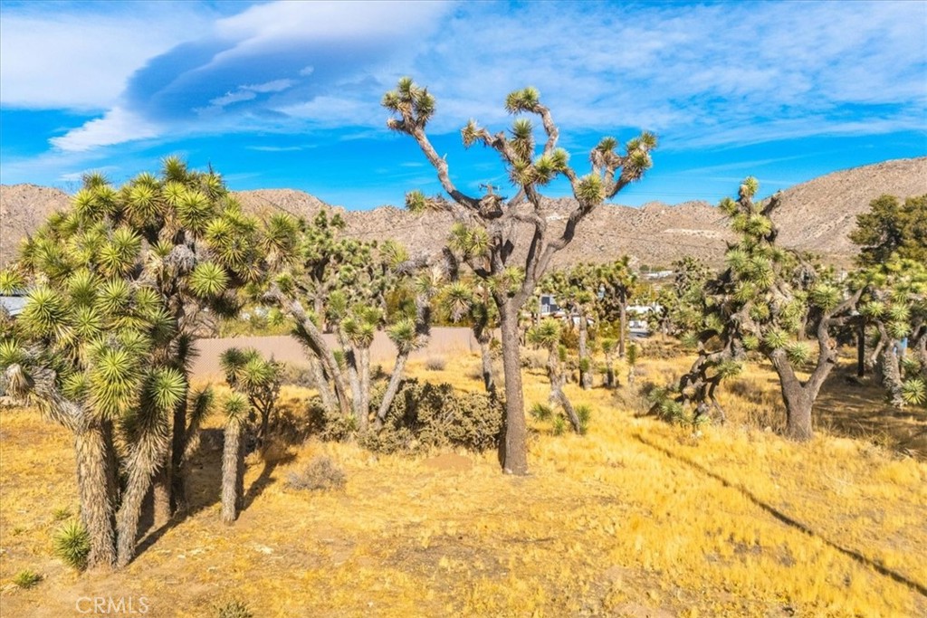 MLS #JT24242318 image #2