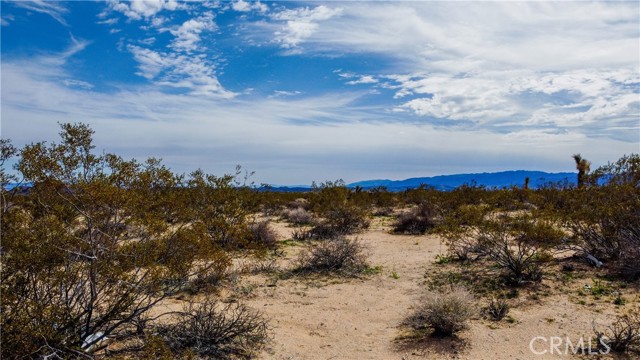 Detail Gallery Image 5 of 24 For 0 Starlight St, Yucca Valley,  CA 92285 - – Beds | – Baths