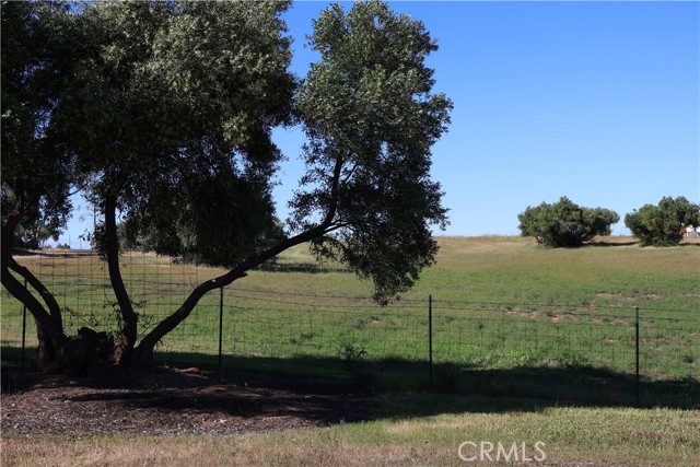 Detail Gallery Image 3 of 32 For 0 Carona Ave., Corning,  CA 96021 - – Beds | – Baths