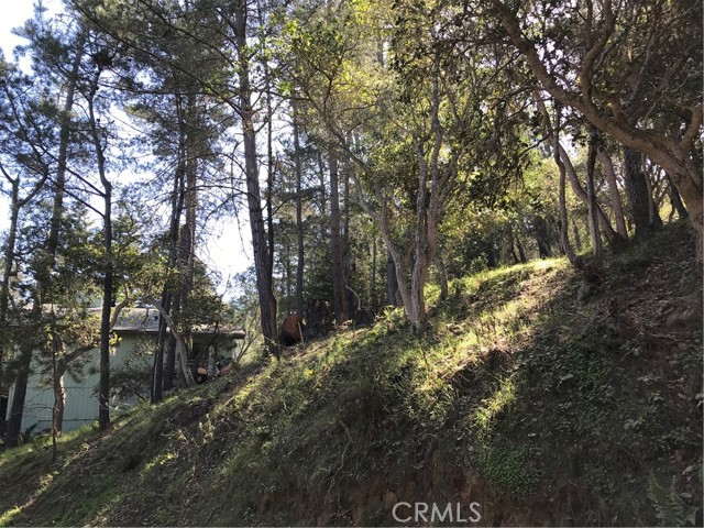 0 Radcliff Avenue, Cambria, California 93428, ,Land,For Sale,0 Radcliff Avenue,CRSC22028382