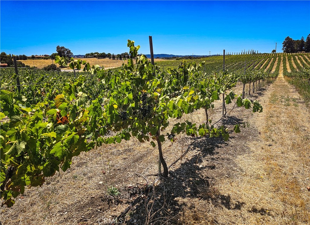 34 Paint Horse Place