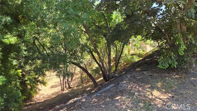 Detail Gallery Image 8 of 16 For 631 N Avenue 48, Los Angeles,  CA 90042 - – Beds | – Baths