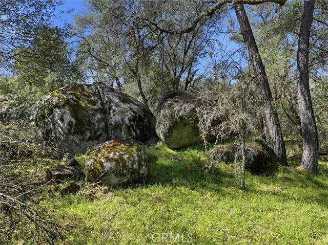 Detail Gallery Image 28 of 29 For 4260 Burl, Mariposa,  CA 95338 - – Beds | – Baths