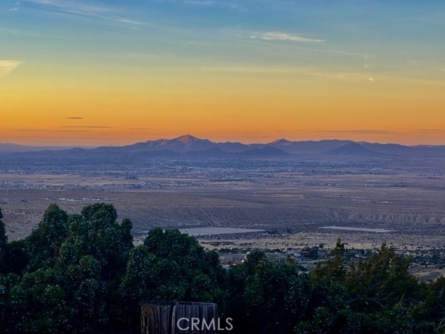 https://media.crmls.org/medias/9ad21a19-cc71-4e28-a095-0f9edf504f95.jpg?preset=X-Large