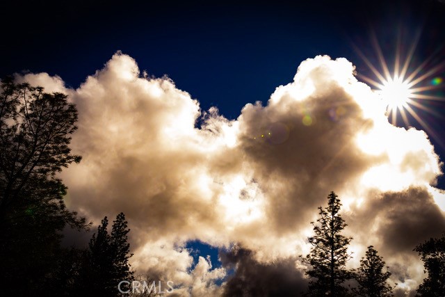 Detail Gallery Image 39 of 72 For 5333 Wilderness View Dr, Mariposa,  CA 95338 - 2 Beds | 2 Baths