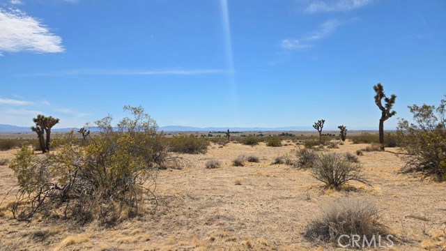 Image 3 of 21 For 0 147th St E Vicinity Capleton D