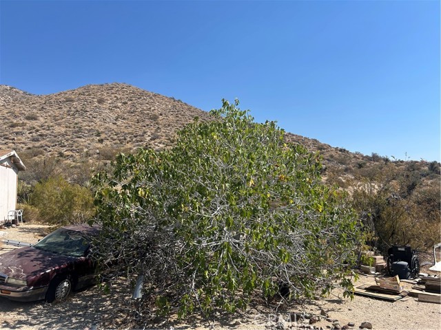 Detail Gallery Image 19 of 31 For 50212 Cedar Drive, Morongo Valley,  CA 92256 - 3 Beds | 2 Baths