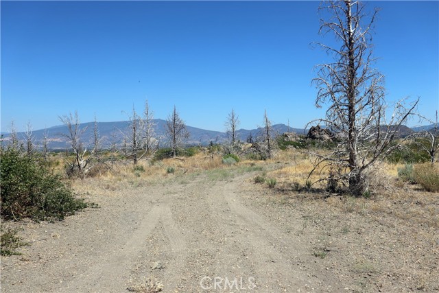 Detail Gallery Image 7 of 14 For 0 Juniper Valley, Weed,  CA 96094 - – Beds | – Baths