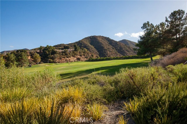 23929 Fawnskin Drive, Corona CA: https://media.crmls.org/medias/9ae17891-f4b9-4b2c-9b79-23b35b8e9078.jpg