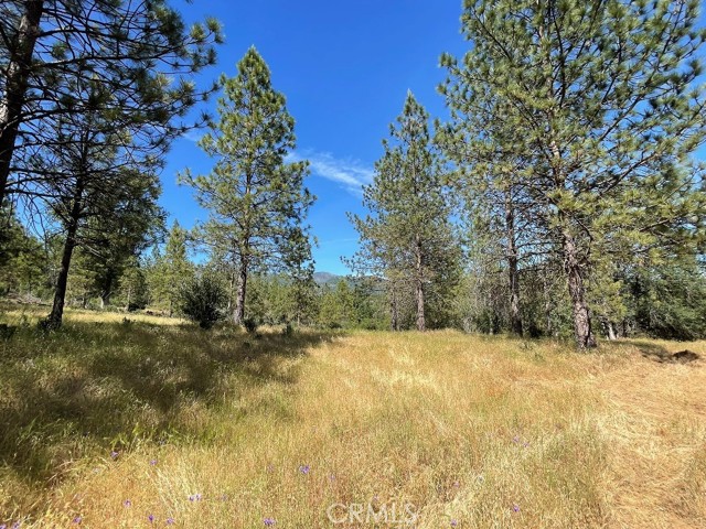 0 Triangle Road, Mariposa CA: https://media.crmls.org/medias/9ae61a4b-d9dc-4104-adeb-69d2f53fd1f7.jpg