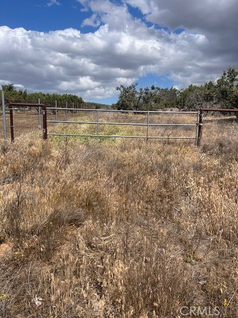 MLS #IG25065053 image #8