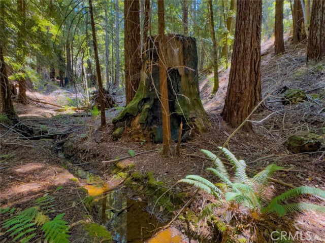 Detail Gallery Image 8 of 12 For 3700 Redwood Creek Rd, Willits,  CA 95490 - – Beds | – Baths