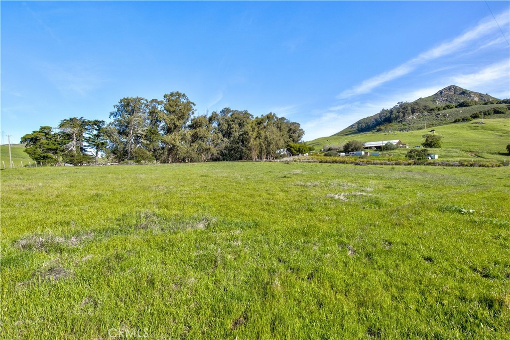 MLS #SC25063085 image #7