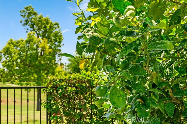 Detail Gallery Image 43 of 52 For 57510 Black Diamond, La Quinta,  CA 92253 - 2 Beds | 2/1 Baths