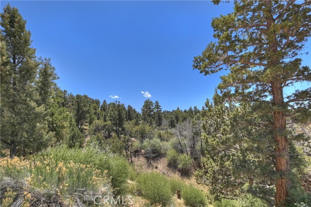 Detail Gallery Image 41 of 50 For 541 S Marlowe Dr, Big Bear City,  CA 92314 - 2 Beds | 1/1 Baths