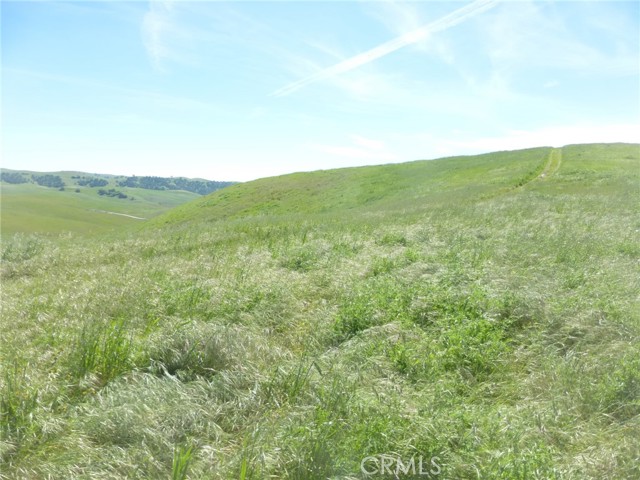 Detail Gallery Image 54 of 75 For 0 Douglas Rd. (Lots 28, 33 & 34), San Miguel,  CA 93451 - – Beds | – Baths