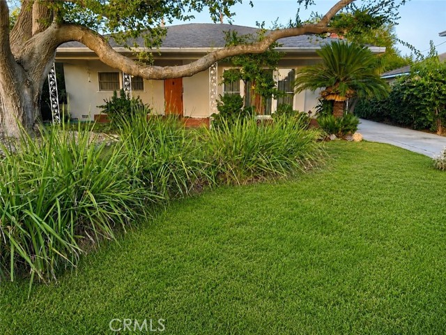 Front Image Thumbnail for CRWS26119967