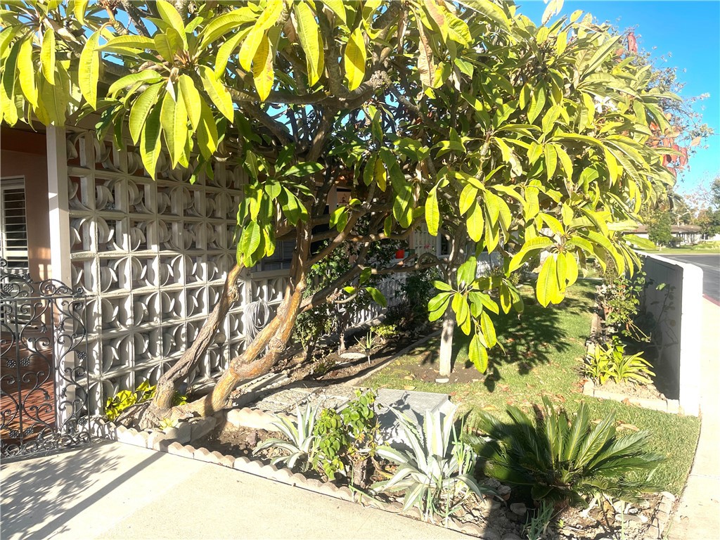 https://media.crmls.org/medias/9af84638-bfd3-4fe1-bf99-0393e0410fa8.jpg?preset=X-Large