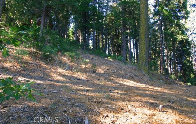 Detail Gallery Image 14 of 17 For 525 Ca-173, Lake Arrowhead,  CA 92352 - – Beds | – Baths